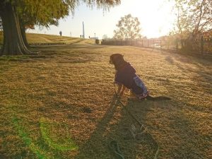 blog_161124