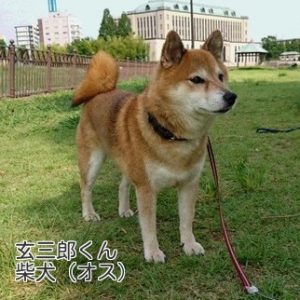 お友達　玄三郎くん