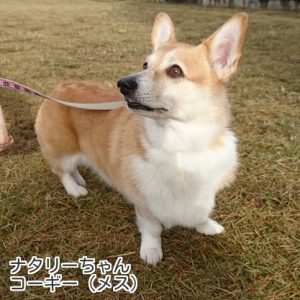 ナタリーちゃん