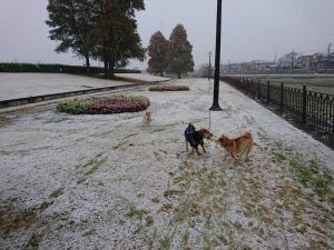 雪の中で