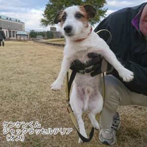 ケンケンくん