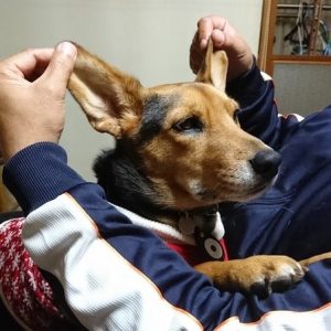 blog-161212-2