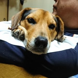 blog-161212-3