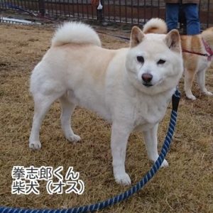 拳志郎くん