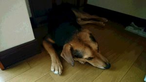 まだ怖いんだよ～