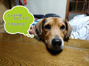 どんな料理なんだろう