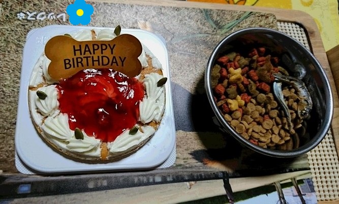 お誕生日のディナー