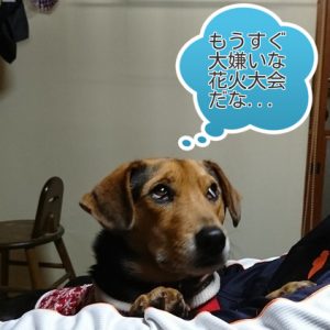 お悩みレックス