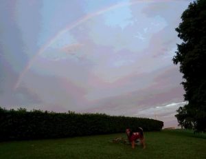 夕方の虹と一緒に
