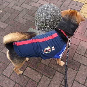 日本代表ユニフォームを着たレックス