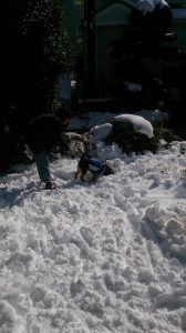 お庭で雪遊び