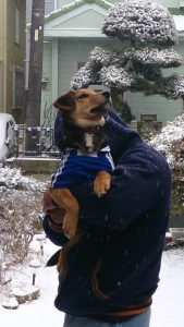 初めて雪を見るレックス