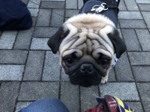 蓮くんのアップ