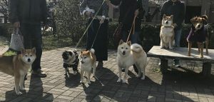 レックスのフレンド