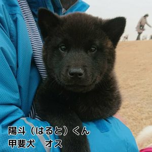 陽斗くん