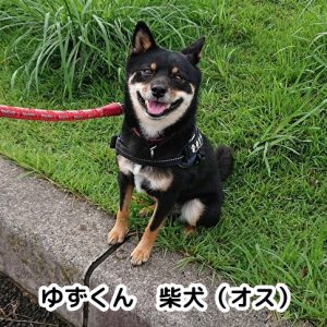 ゆずくん