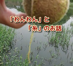 犬が糸を食べたら