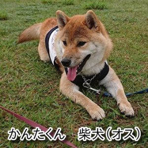 かんたくん