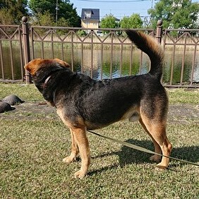 7歳の筋肉