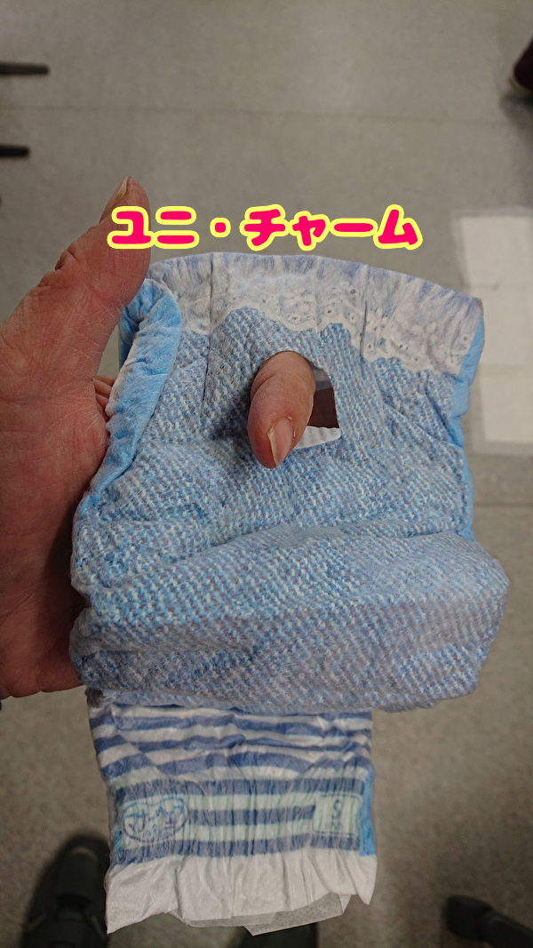 ユニ・チャームしっぽ穴見本