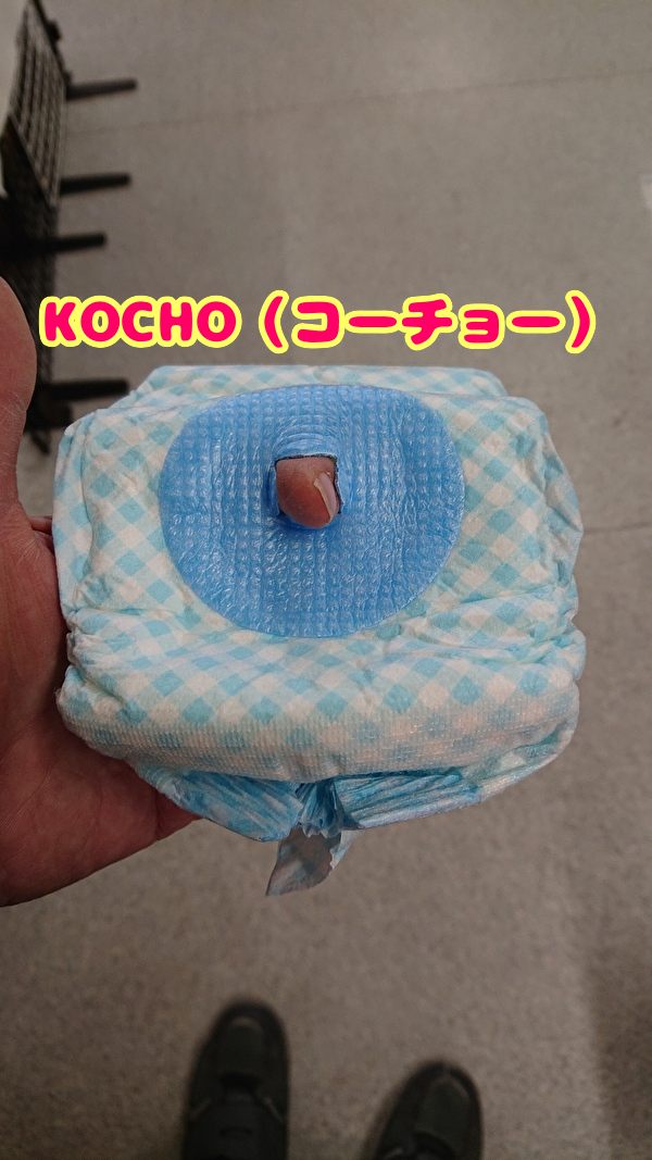 コーチョーしっぽ穴見本