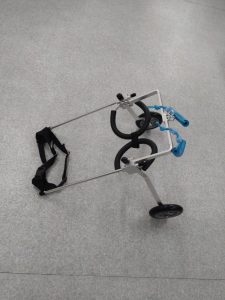 中型犬用車椅子