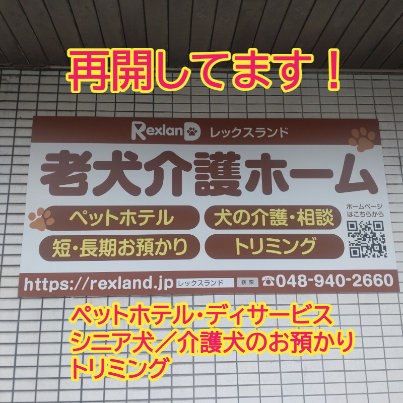 老犬介護ホーム、ペットホテル、トリミングのレックスランド